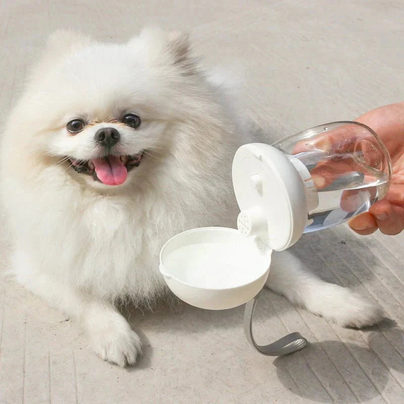 Foldable And Portable Pet Cat And Dog Outdoor Drinking Glass Pet Products ( UAE Delivery Time: 1-3 Days) Achieveallmart
